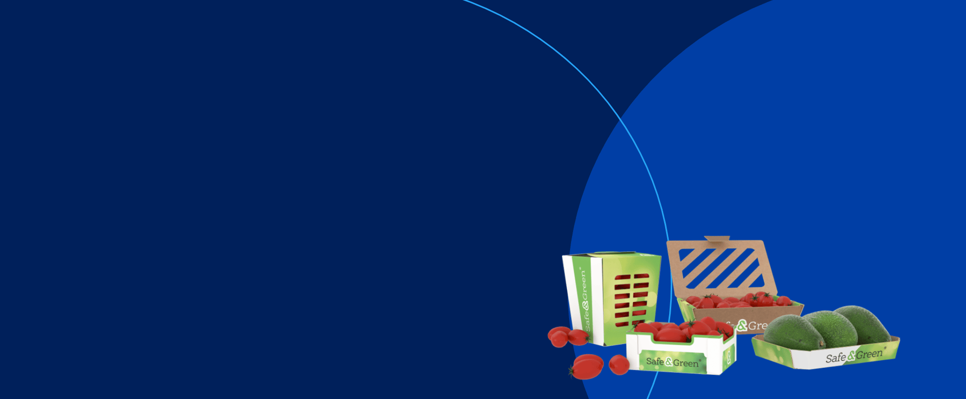 Cardboard vegetable punnets