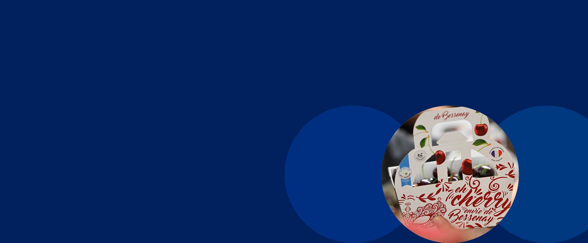 Chambe-Agri-Fruits Case Study