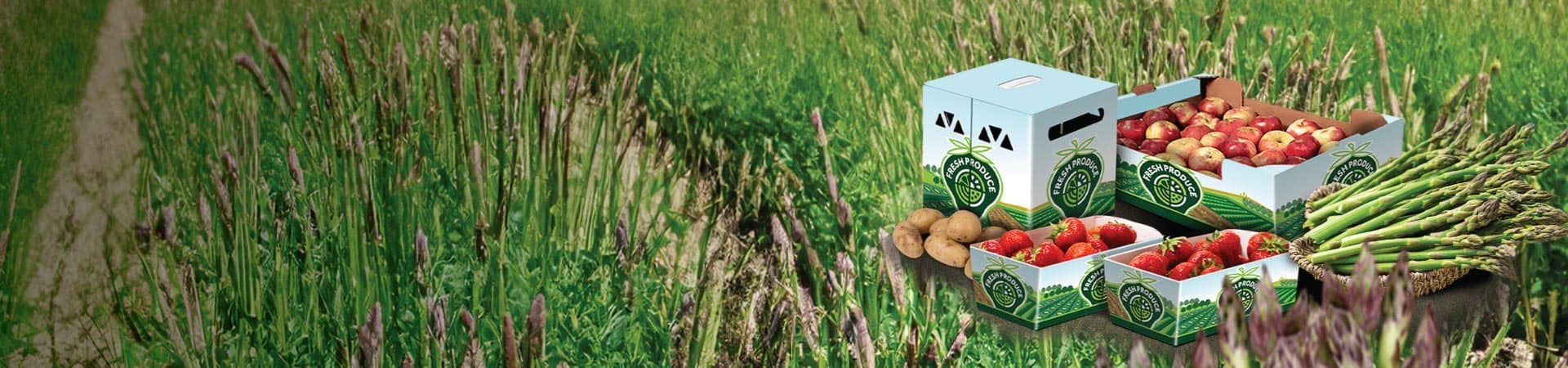 Fresh produce packaging