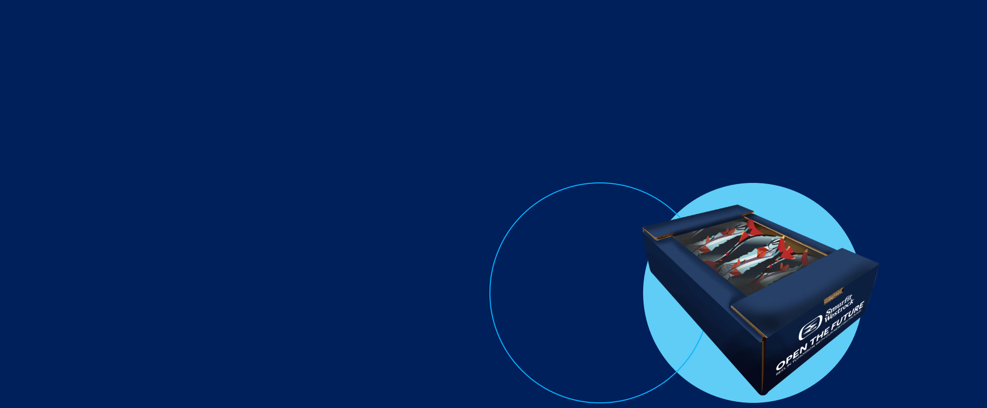 Salmon fish seafood packaging