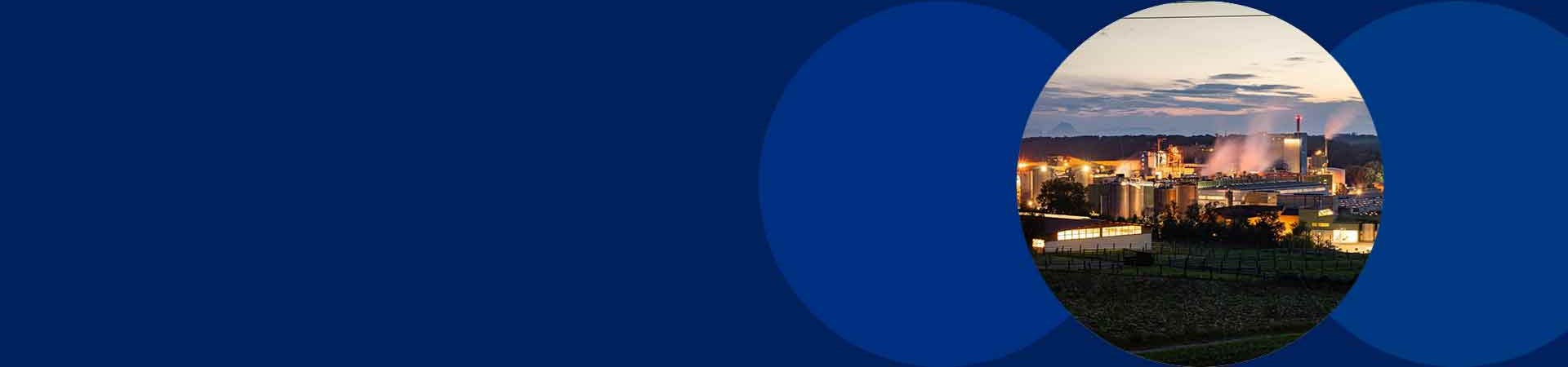 Nettingsdorf Climate change