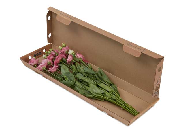 Letterbox_pack