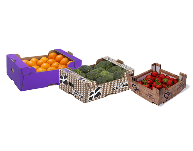 Fresh Produce Trays