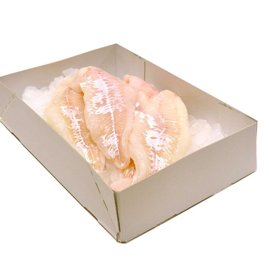 Fish Packaging Boxes | Fresh & Frozen Fish Packaging | Smurfit Kappa UK