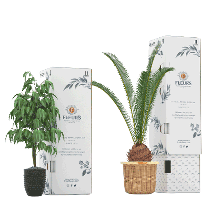 Telescopic Box, Flower Packaging