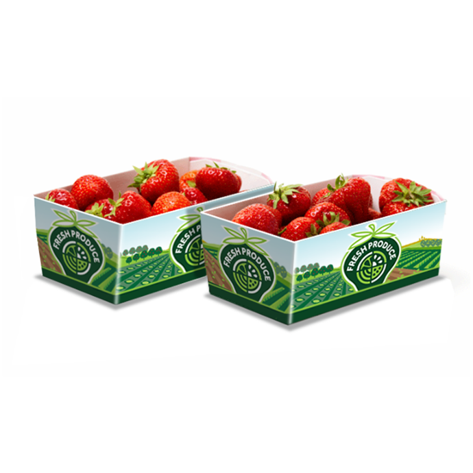 Fruit Punnets