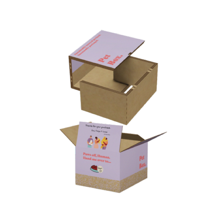 Chilled pet delivery food box