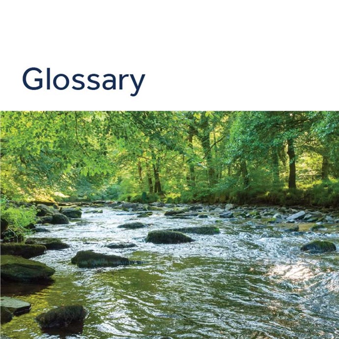 Sustainability report glossary 2024