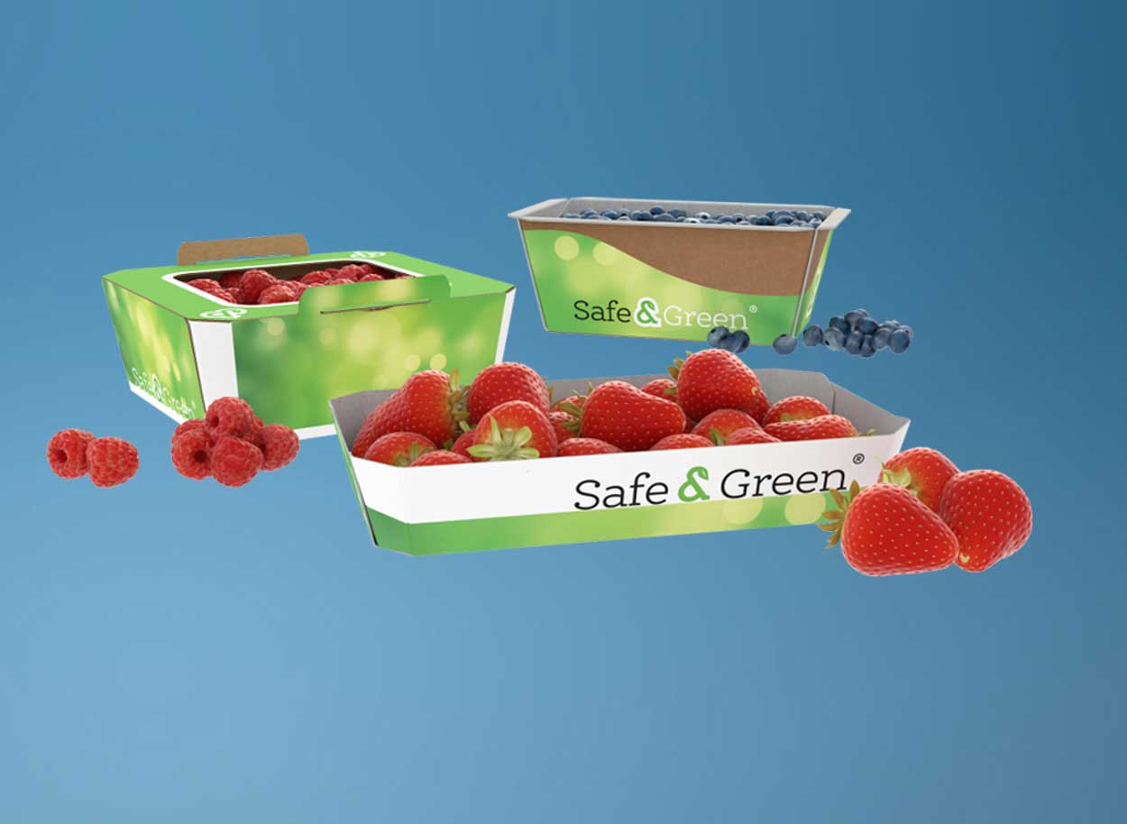 Cardboard punnets, Berry Punnets, Punnets for berries