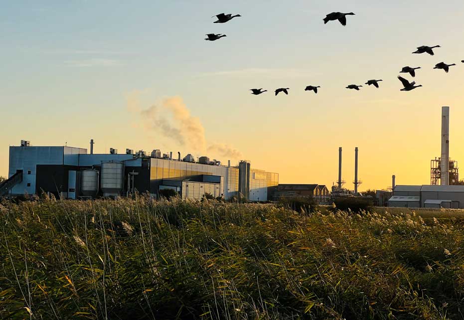 Smurfit Kappa paper mill unveils new sustainable innovation