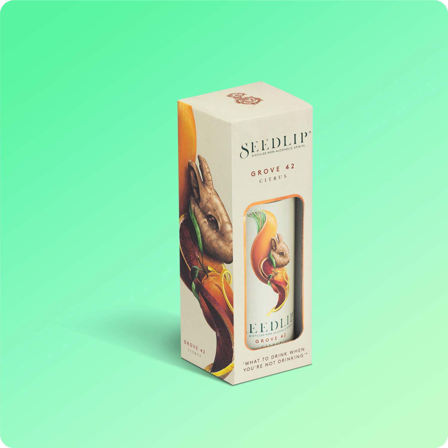 Premium Packaging Solutions 