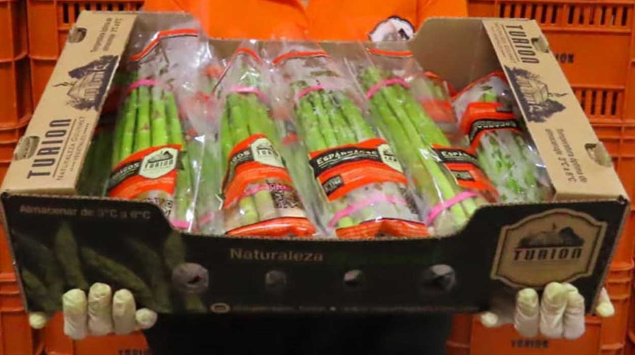 Turion Case Study The Result