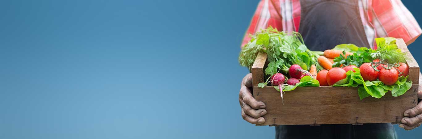 Vegetable Packaging, Vegetable punnets, punnets for vegetables