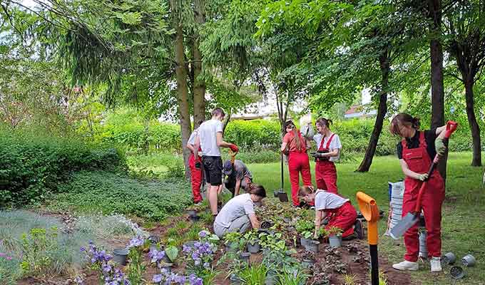 Smurfit Kappa Planting