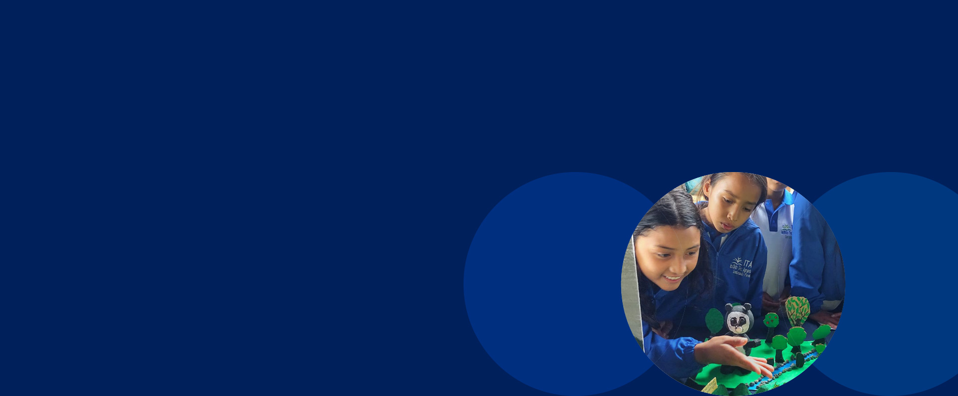 Andean Bear Colombia