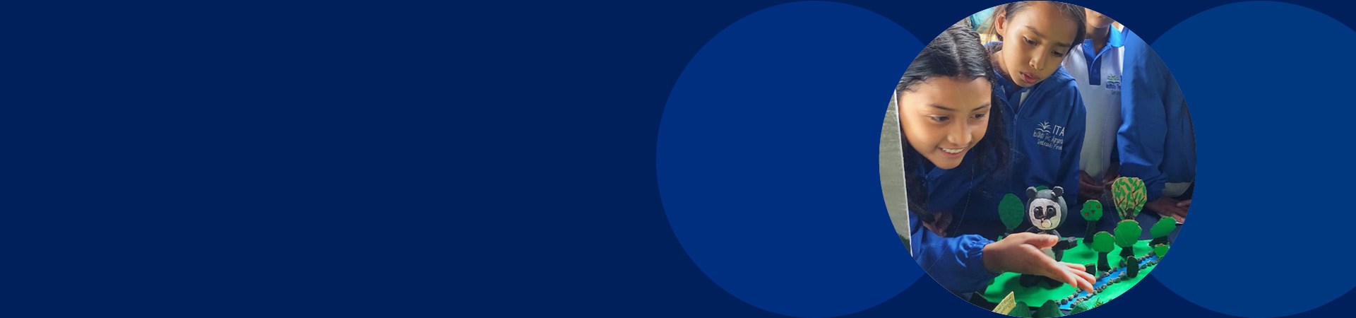 Andean Bear Colombia