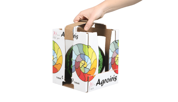Case_Study_agrolris_melon