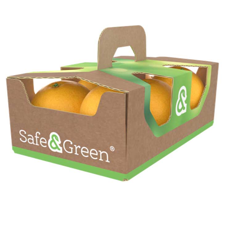 Takeaway Punnet Oranges