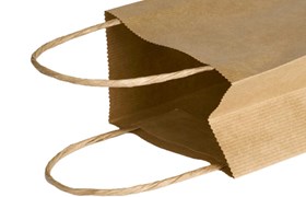 Paper Bag Handles and Cords