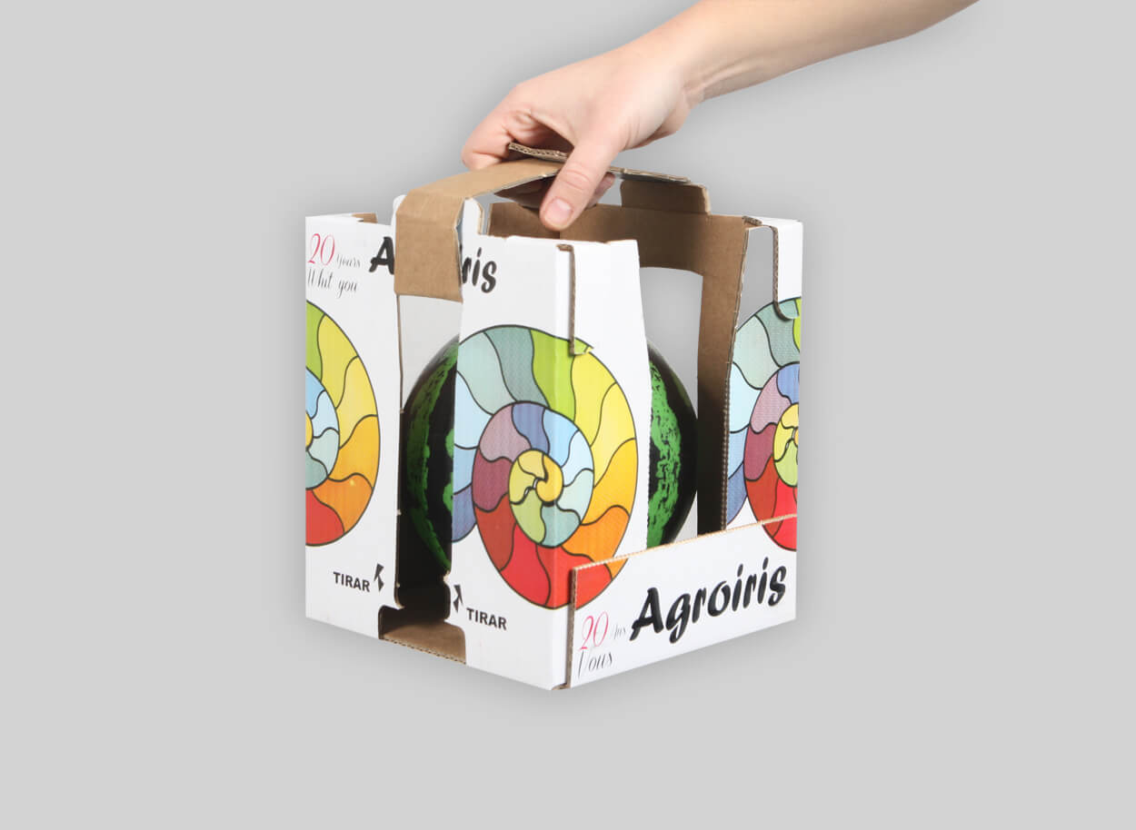 Case_Study_agrolris_melon