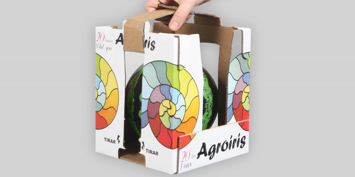 Case_Study_agrolris_melon