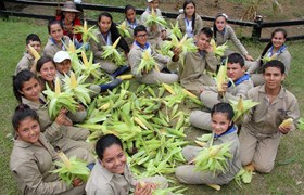 SK_Foundation