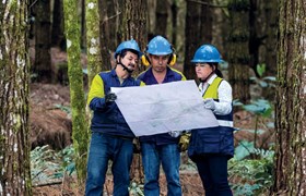 Forestry-workers