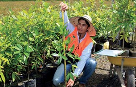 Sustainability