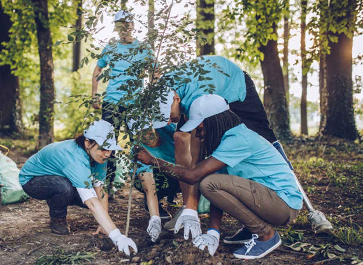 Volunteers planting trees