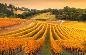 Bag-in-Box, Wine Packaging, Packaging for Wine