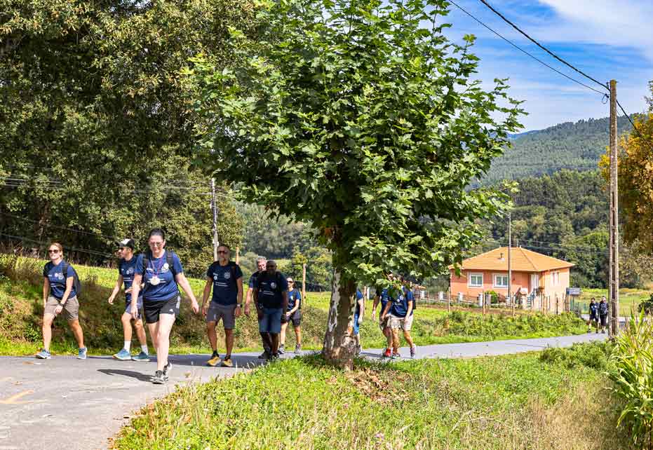 Camino Walk